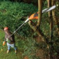 Εικόνα για την κατηγορία Κονταροπρίονα Βενζίνης
